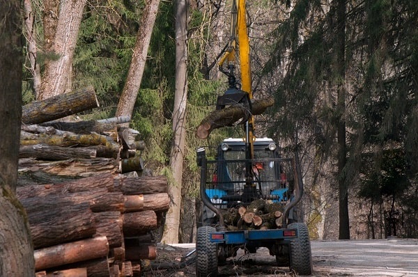 Maquinaria-Forestal-Format-Maquinista